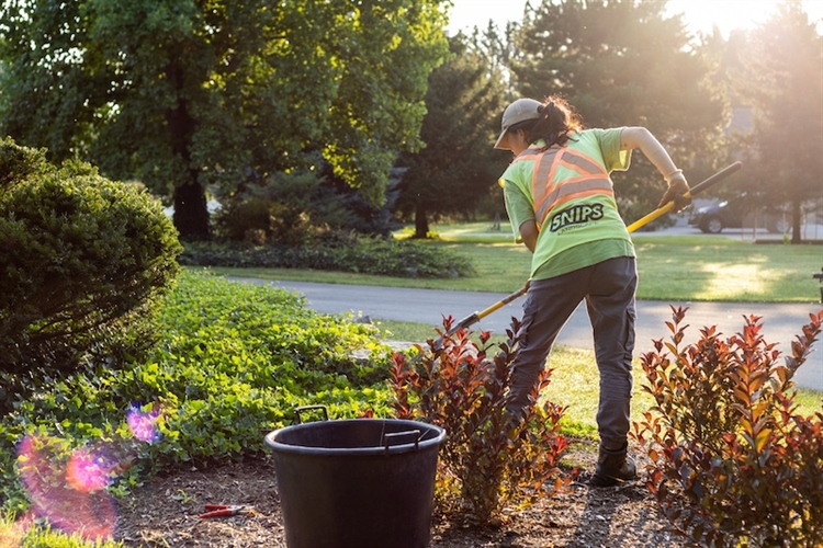 Comprehensive Landscaping Services We Offer at Snips Landscape