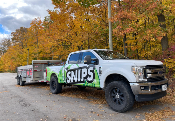 Fall Cleanup in Niagara: What Needs to Be Done Before Winter—and What Can Wait