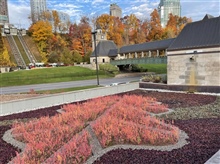 Green-roof-fall-1