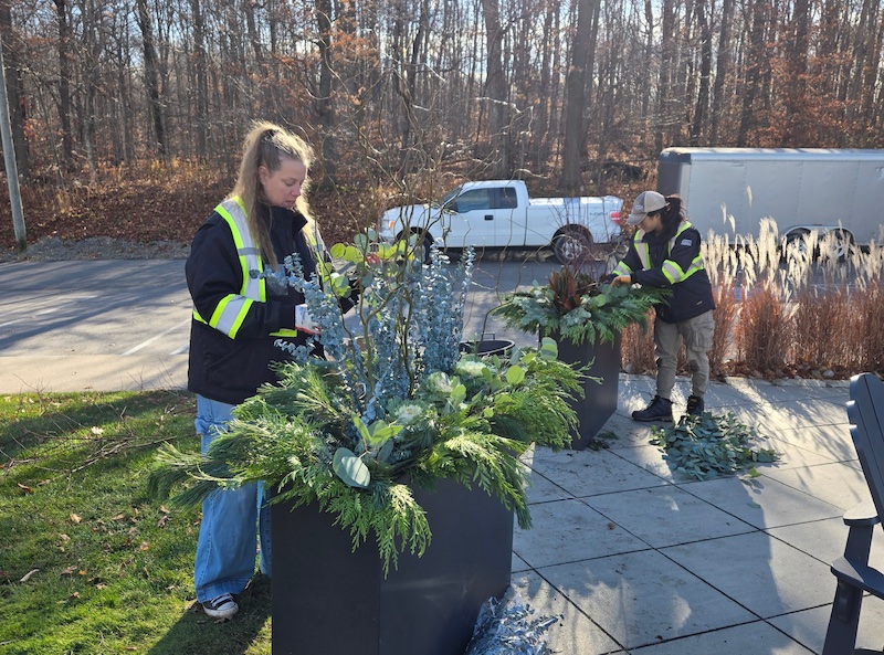 Fall Plantings Fall Plantings