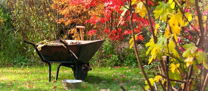 Preparing Gardens for Cooler Weather