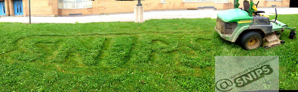 Snips Logo Cut into Grass